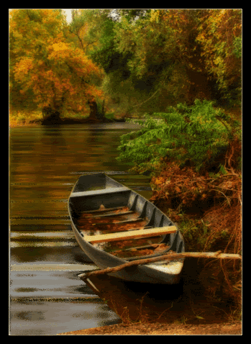 reflejoagua1.gif picture by Em-brujo