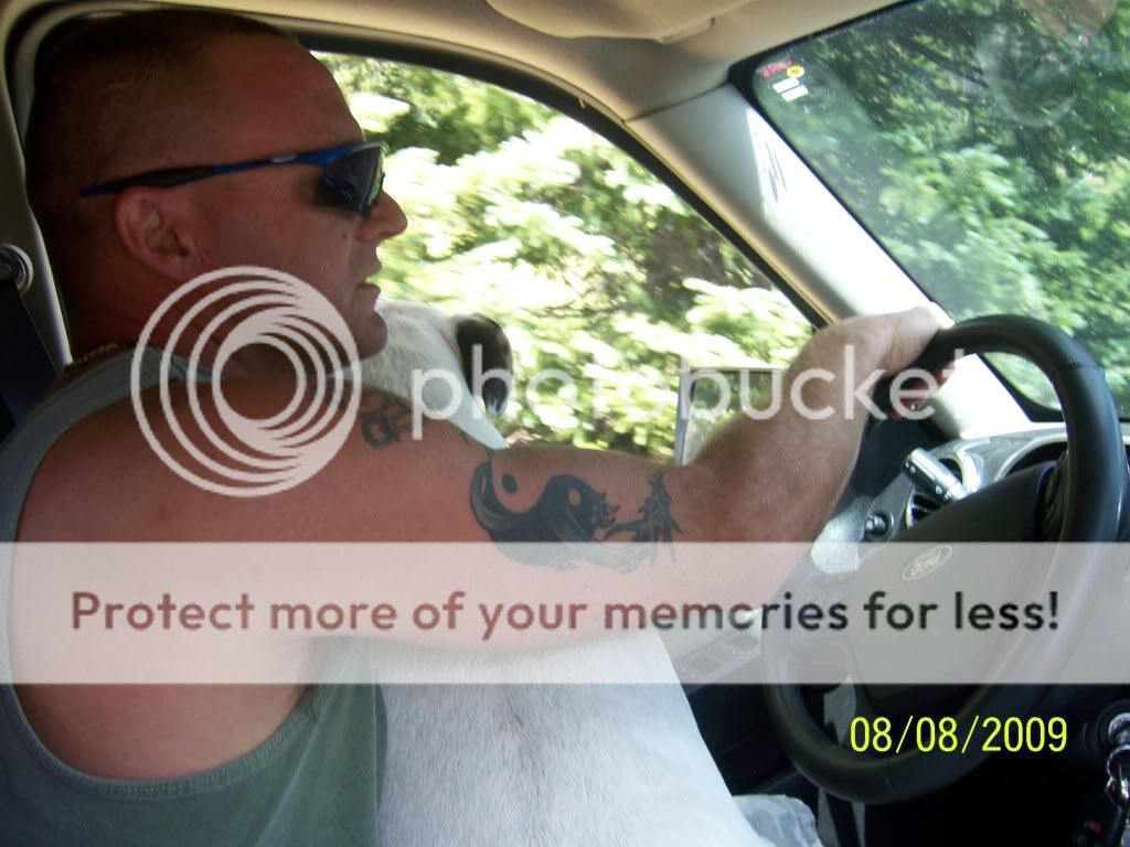 [linked image]