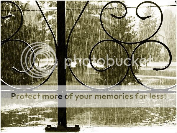 Outside Pictures, Images and Photos