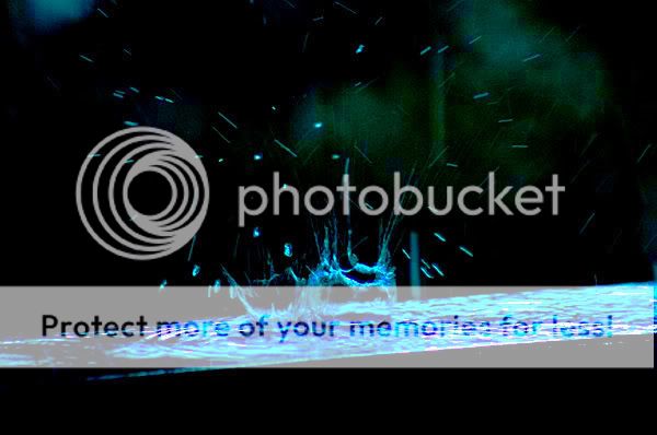 After the storm Pictures, Images and Photos