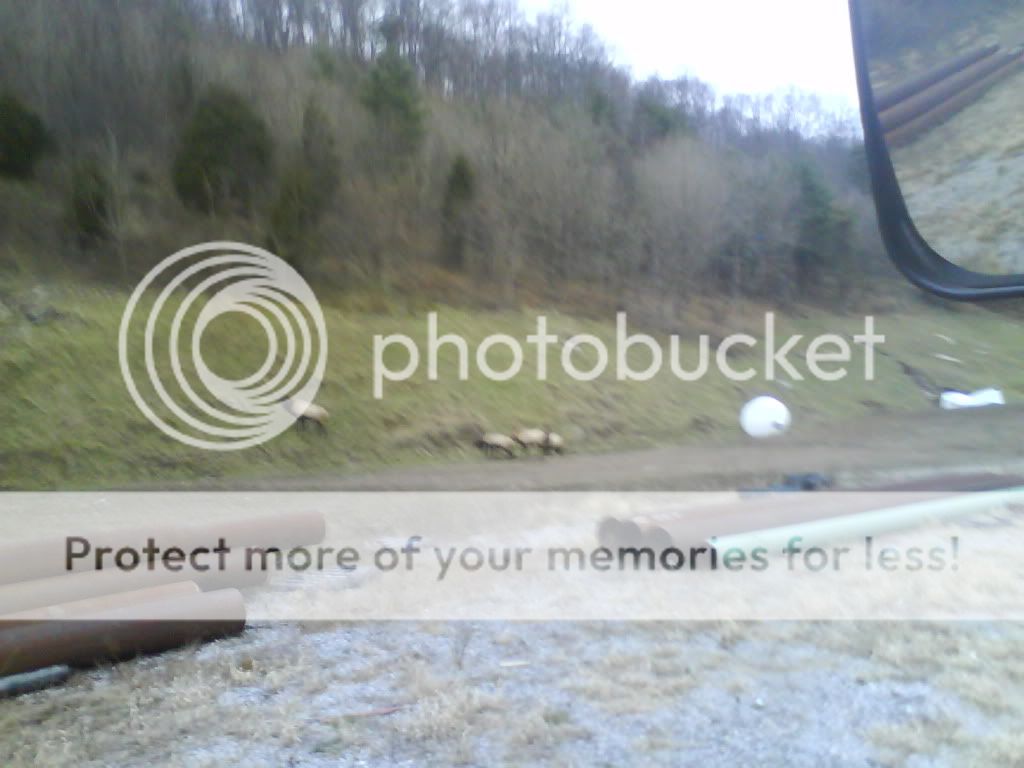DSC00122.jpg